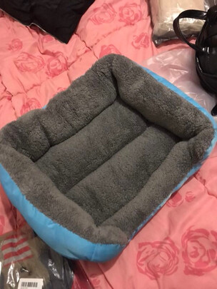 猫窝