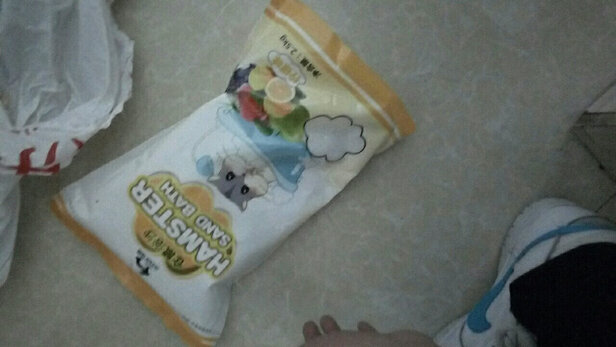 仓鼠浴沙