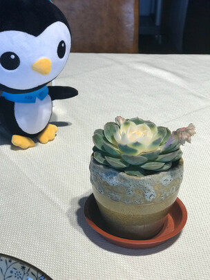 玻璃杯
