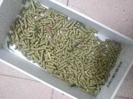 兔粮提摩西草