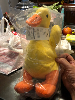 狗狗玩具
