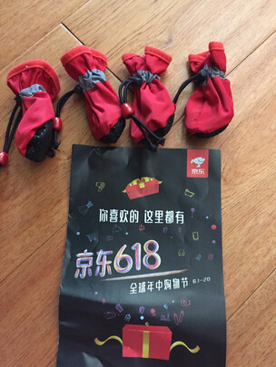 狗狗鞋