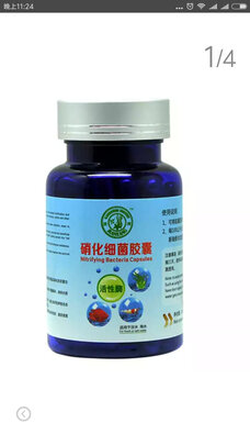 鱼缸硝化细菌