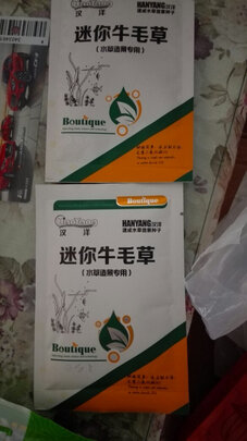 水草种子