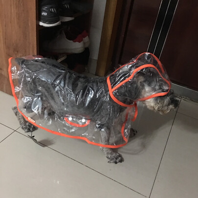 狗狗雨衣