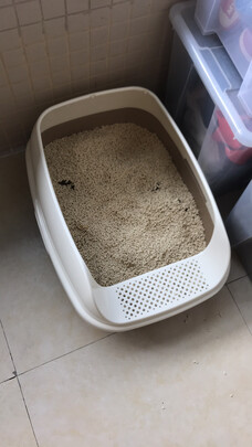 猫砂盆