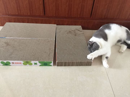 猫抓板