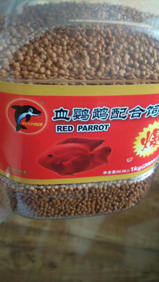 鱼粮