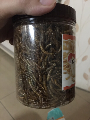 仓鼠粮