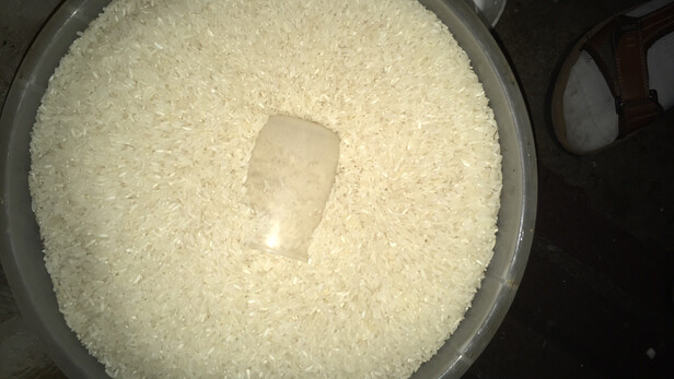 三,金龙鱼精选油粘米网友对比评测