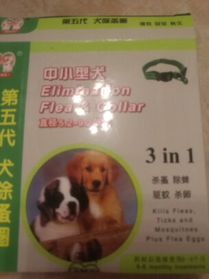 猫项圈