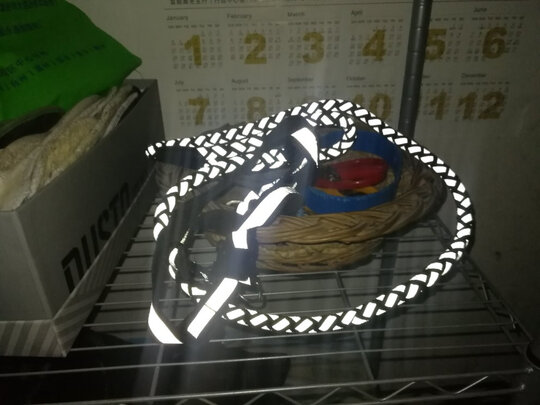狗狗牵引绳
