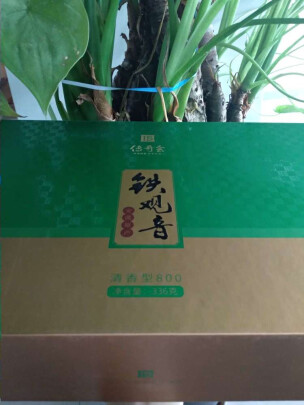 传奇会336g茶叶怎么样茶香四溢吗