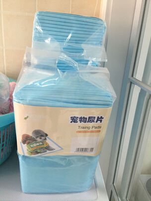宠物纸尿裤