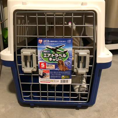 宠物航空箱