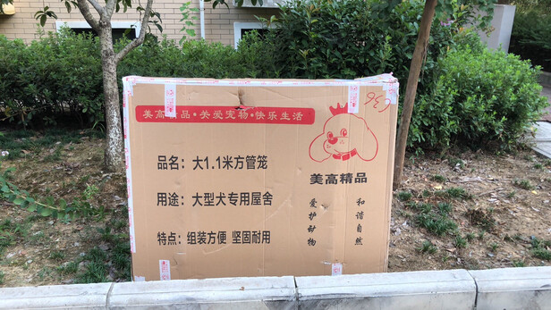  狗笼