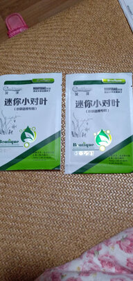 水草种子