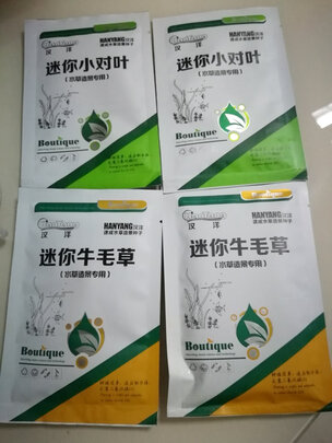 水草种子