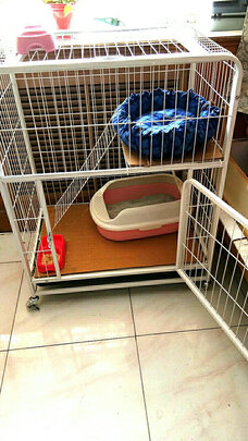 猫笼