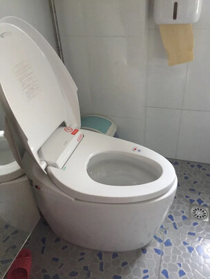 简介说揭秘德国路易圣堡（LOSP）智能马桶怎么样，质量差不差呢？