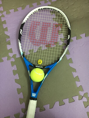 三,史莱辛格史莱辛格4粒装网球网友对比评测