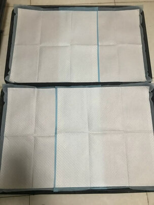宠物纸尿裤
