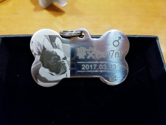 狗牌