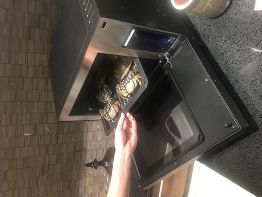 康宝蒸烤箱一体机|[用户爆料]康宝蒸烤箱一体机怎么样?说一说体验实情?