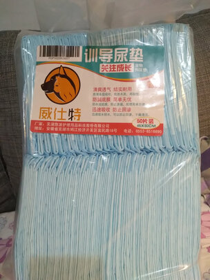 宠物纸尿裤