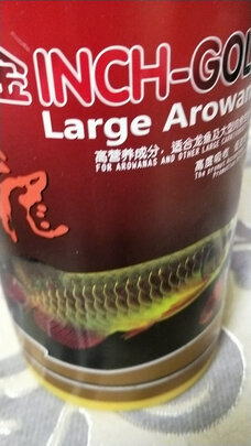 鱼粮