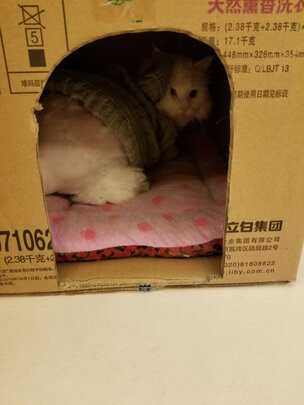 狗狗鞋