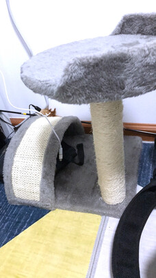 猫爬架