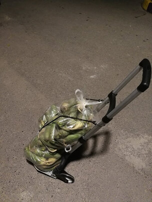 折叠行李车