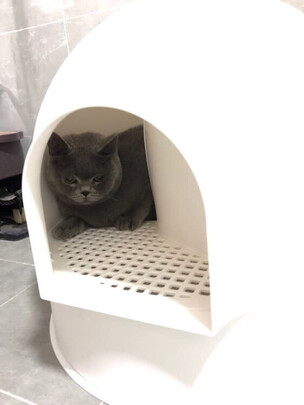 猫砂盆