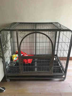  狗笼
