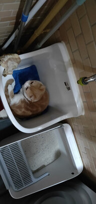 猫砂盆