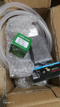 乌龟晒背灯泡