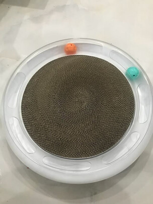 猫窝