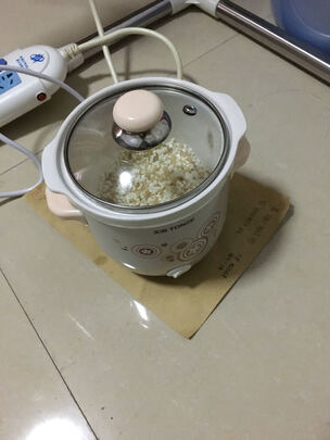 电炖锅