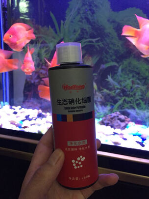 鱼缸硝化细菌