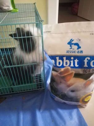 兔粮