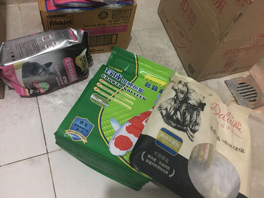 鱼粮