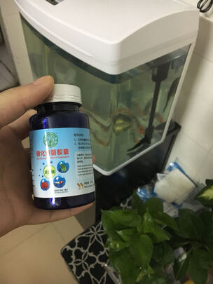 鱼缸硝化细菌