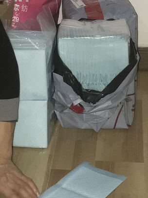 宠物纸尿裤