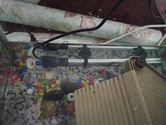 鱼缸加热棒