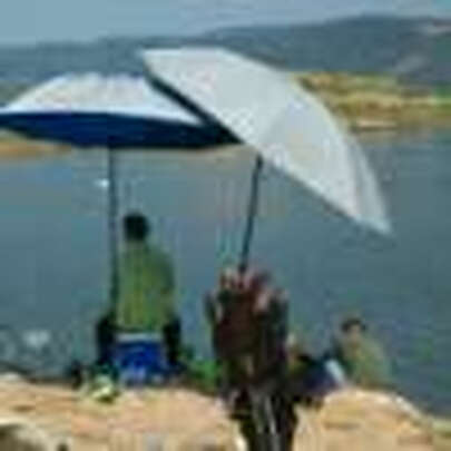 评测解析武汉天元特作千川鲤二代怎么样?跟踪报道事实!
