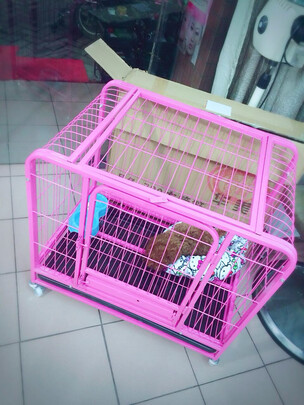  狗笼
