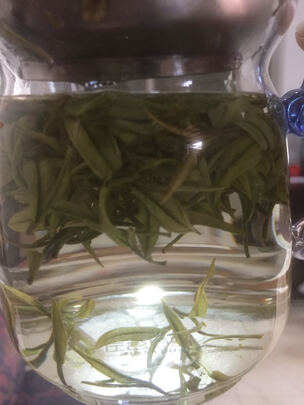 安吉白茶
