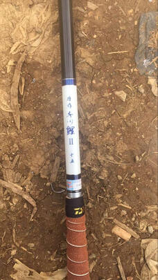 武汉天元特作千川鲤二代质量分析，质量解密真实情况