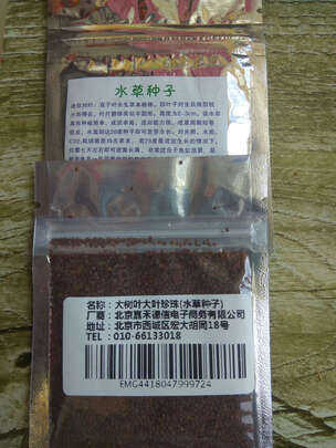 水草种子
